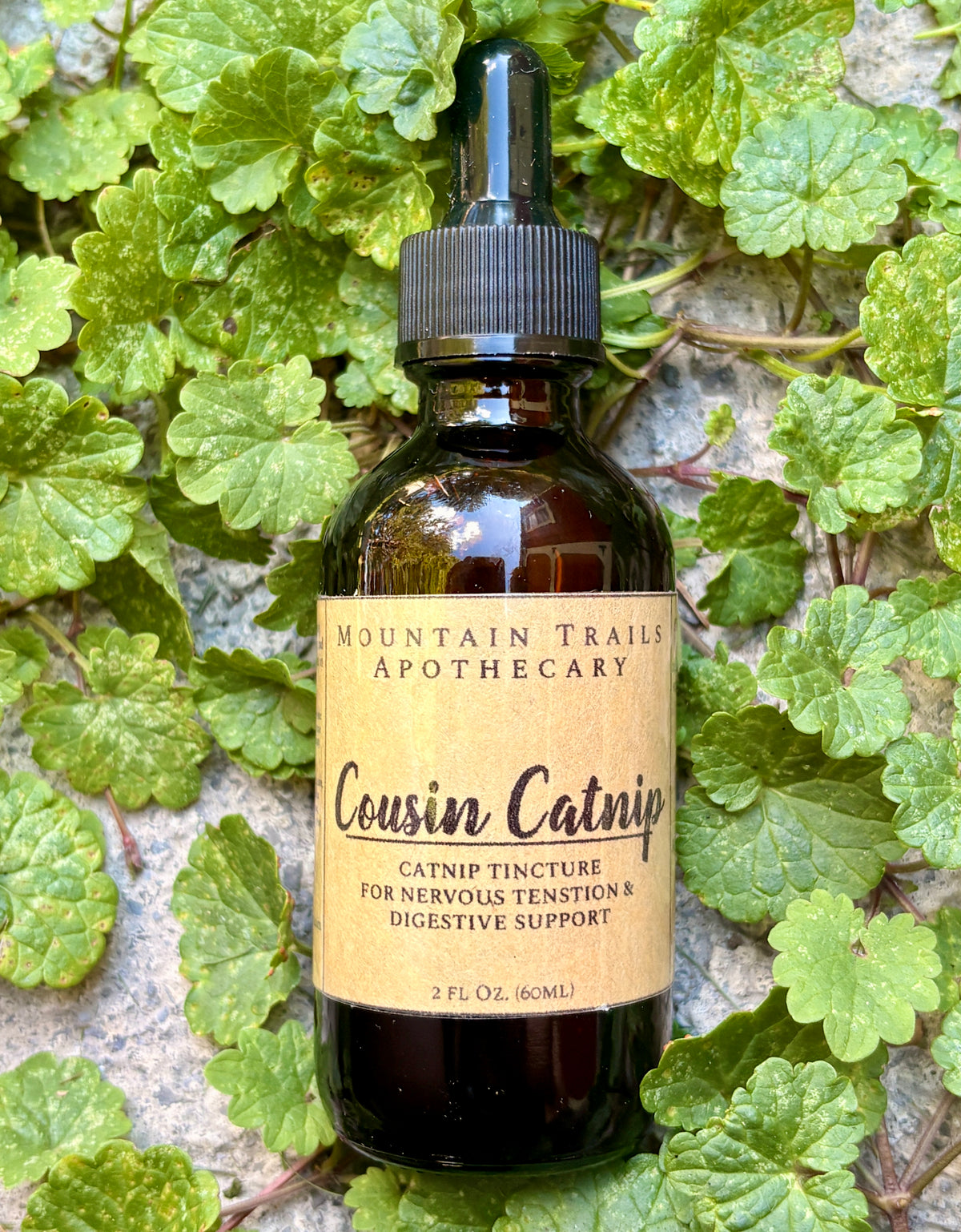 Cousin Catnip (calming catnip tincture)