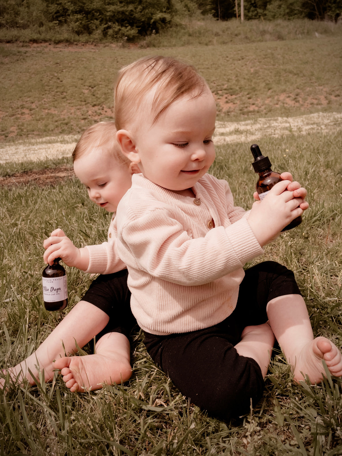 Ollie Drops (cradle cap oil for littles)