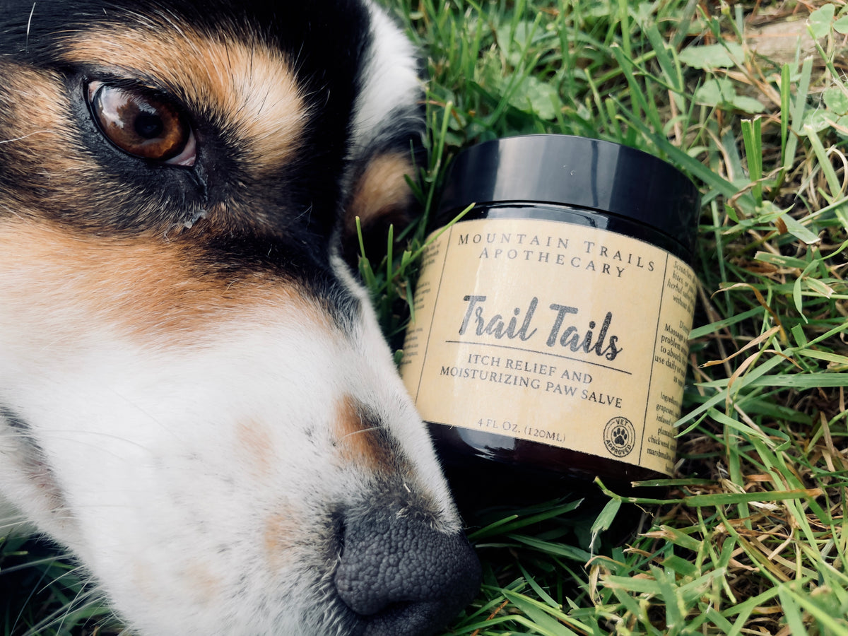 Trail Tails (dog itch relief and paw care)