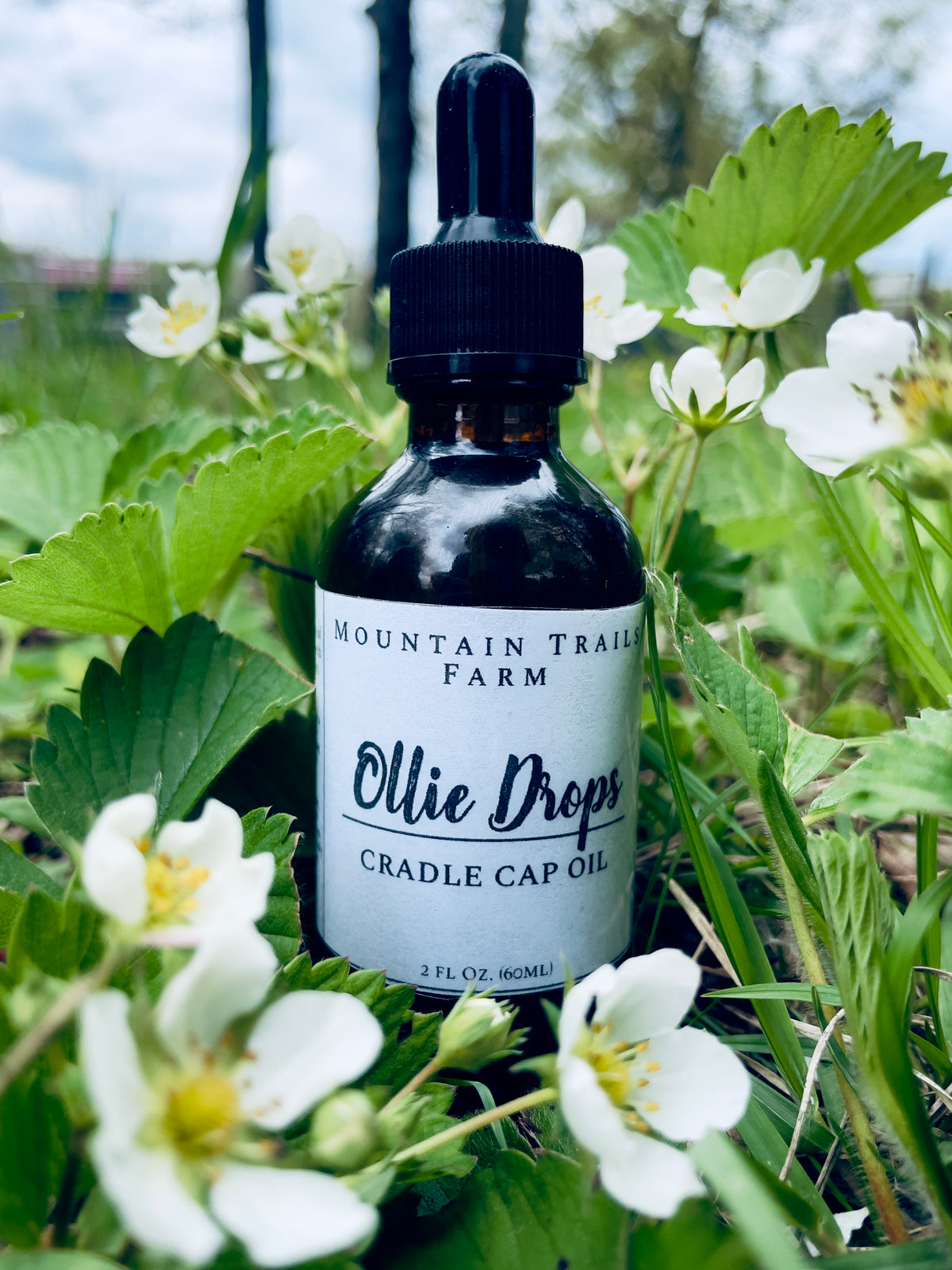Ollie Drops (cradle cap oil for littles)