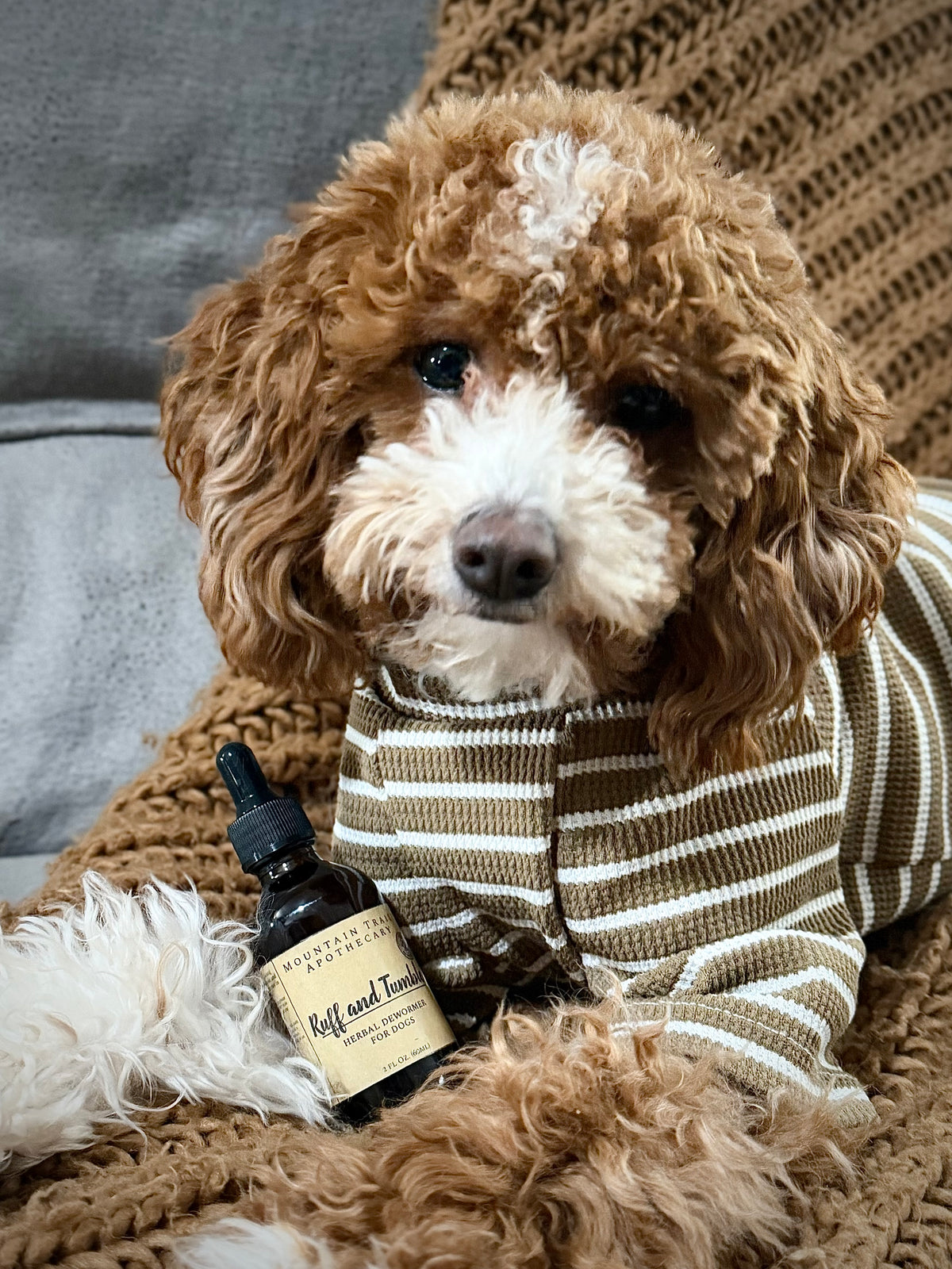 Ruff and Tumble (dog dewormer)