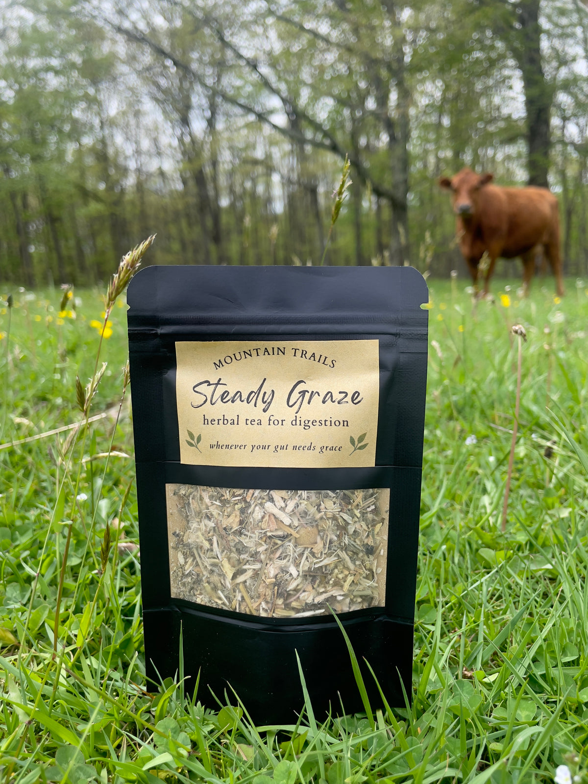 Steady Graze (daily digestive support)
