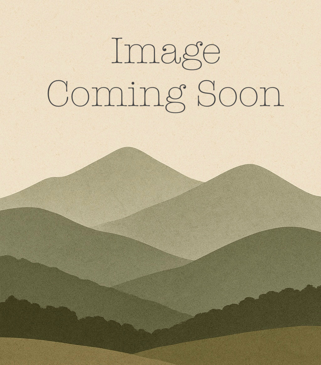 Mold Breaker (mold detox)