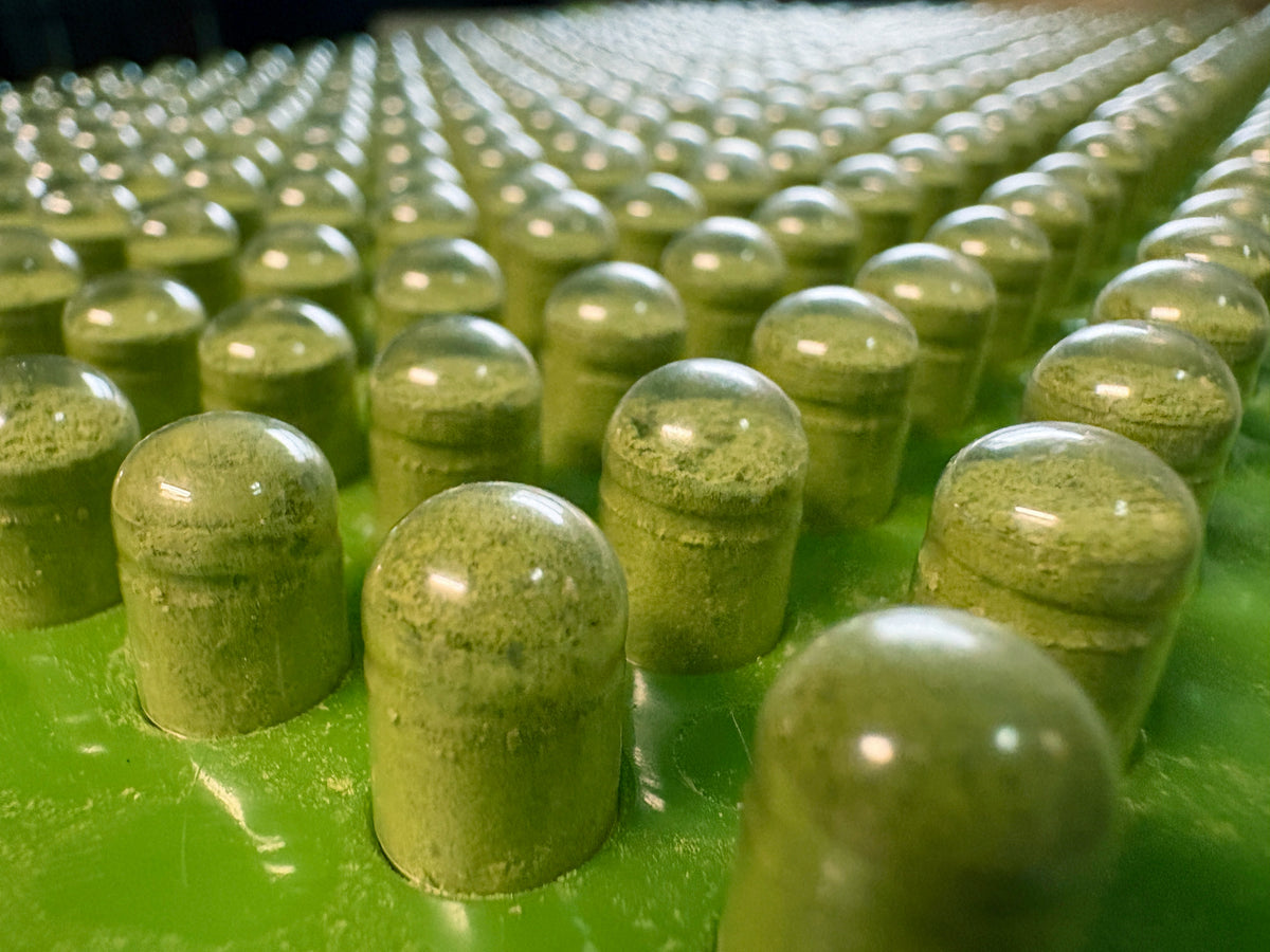 Moringa Capsules (energy, immunity, and wellness)