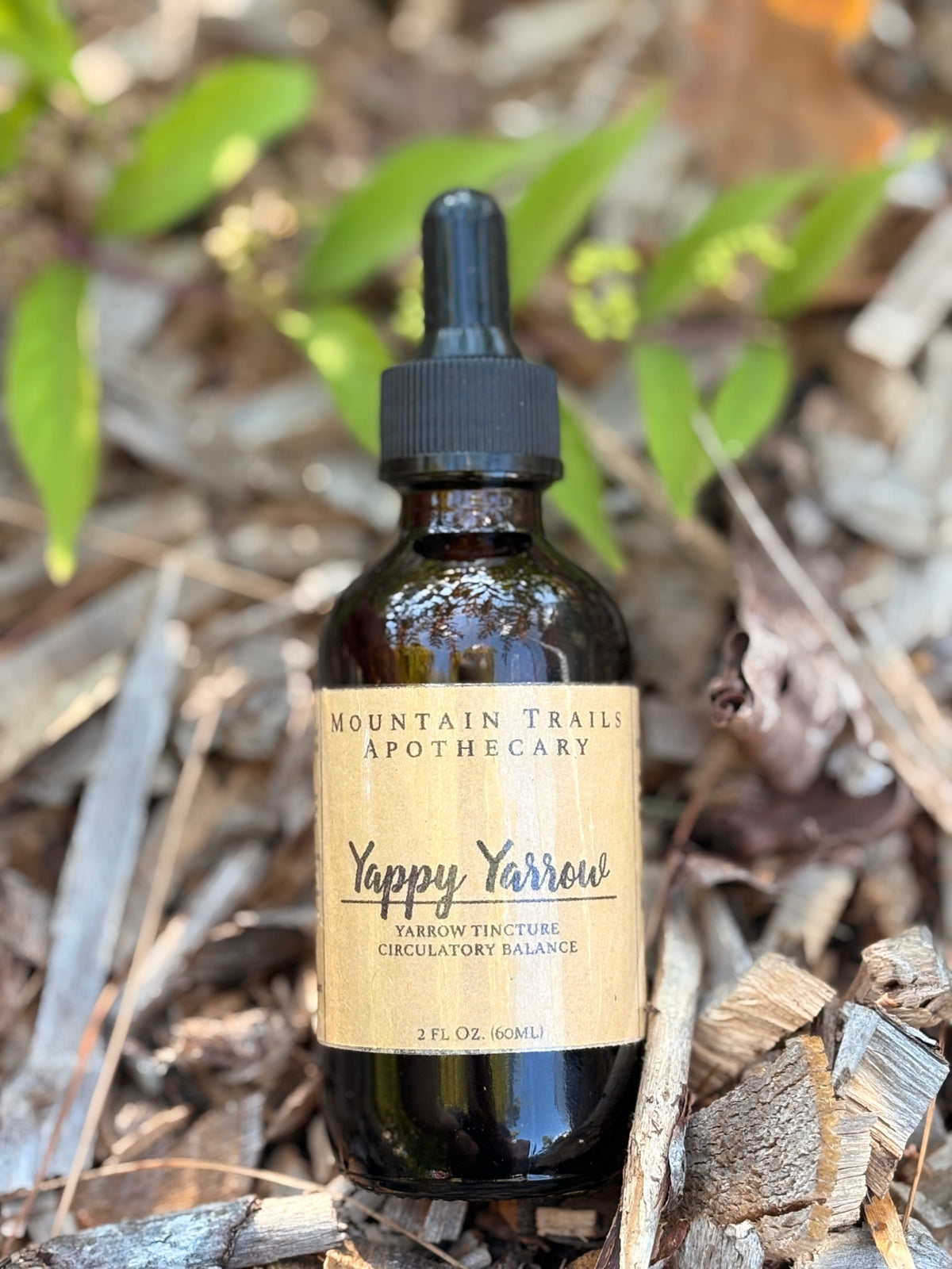 Yappy Yarrow (yarrow tincture for circulatory balance)