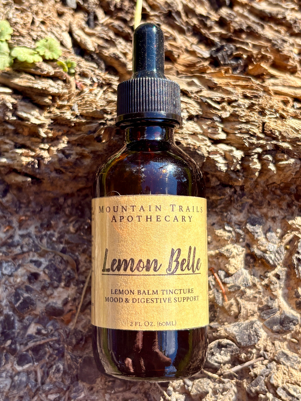 Lemon Belle (lemon balm tincture for calm and clarity)
